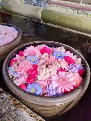 津島神社の手水舎