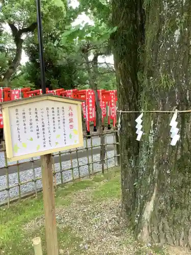 大垣八幡神社の歴史