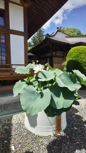 福田寺(福島県)