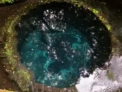 貴船神社(静岡県)