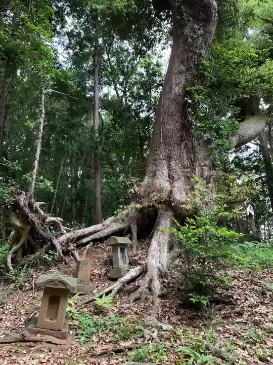 日吉神社の自然