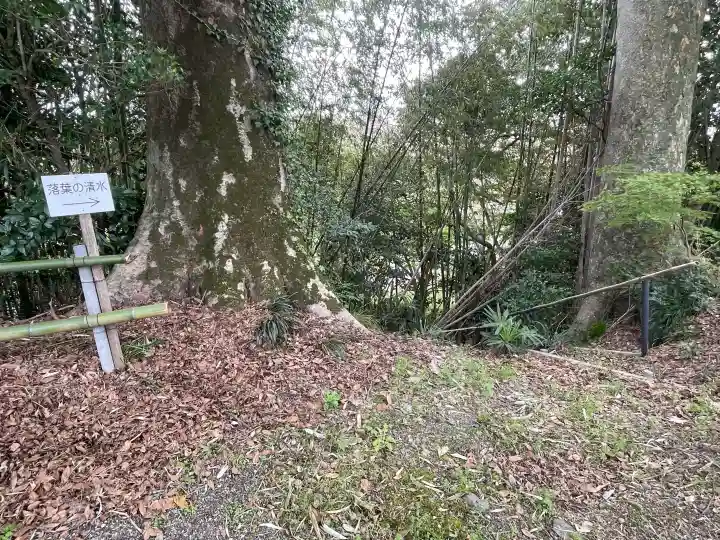 興敬寺の{uncategorized: "未分類", other: "その他", undefined: "問題あり", building: "その他建物", grave: "お墓", sacred_gate: "鳥居", guardian: "狛犬", statue: "像", buddha: "仏像", history: "歴史", nature: "自然", garden: "庭園", animal: "動物", pagoda: "塔", temizu: "手水舎", mountain_gate: "山門・神門", sanctuary: "本殿・本堂", subordinate: "末社・摂社", art: "芸術", scenery: "景色", jizo: "地蔵", ema: "絵馬", goshuin: "御朱印", omikuji: "おみくじ", items: "授与品その他", amulet: "お守り", goshuincho: "御朱印帳", eats: "食事", festival: "お祭り", votive_dance: "神楽", shichigosan: "七五三参", wedding: "結婚式", experience: "体験その他", initially: "初詣", around: "周辺", anti_infection: "感染症対策"}