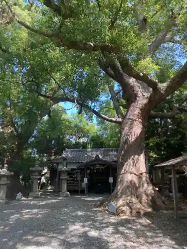 伊久比売神社(和歌山県)