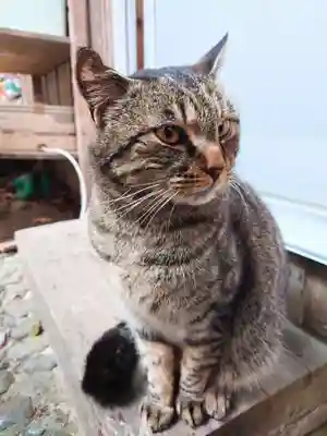 上岩出神社(和歌山県)