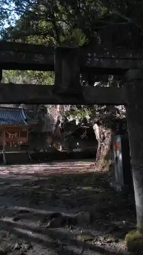 八女津媛神社の鳥居