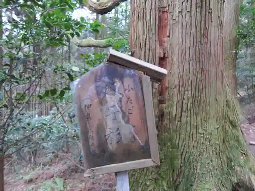 幣立神宮の自然