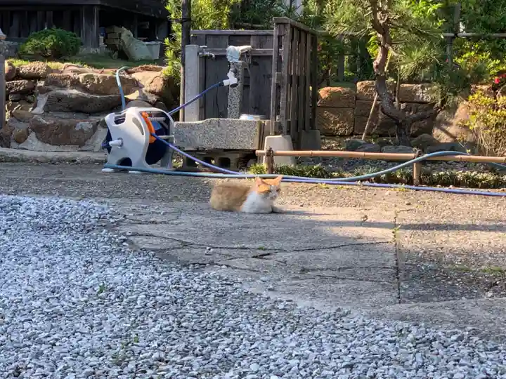 宝昌院(千葉県)