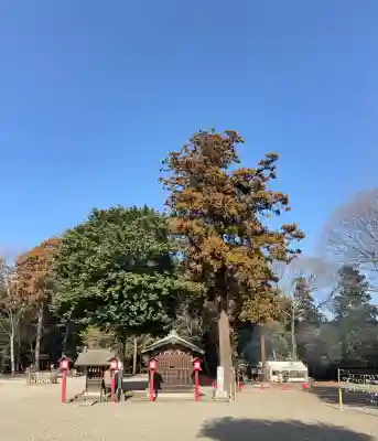 鷲宮神社の{uncategorized: "未分類", other: "その他", undefined: "問題あり", building: "その他建物", grave: "お墓", sacred_gate: "鳥居", guardian: "狛犬", statue: "像", buddha: "仏像", history: "歴史", nature: "自然", garden: "庭園", animal: "動物", pagoda: "塔", temizu: "手水舎", mountain_gate: "山門・神門", sanctuary: "本殿・本堂", subordinate: "末社・摂社", art: "芸術", scenery: "景色", jizo: "地蔵", ema: "絵馬", goshuin: "御朱印", omikuji: "おみくじ", items: "授与品その他", amulet: "お守り", goshuincho: "御朱印帳", eats: "食事", festival: "お祭り", votive_dance: "神楽", shichigosan: "七五三参", wedding: "結婚式", experience: "体験その他", initially: "初詣", around: "周辺", anti_infection: "感染症対策"}