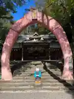 桃太郎神社(栗栖)の鳥居