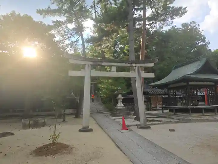 今宮神社(京都府)