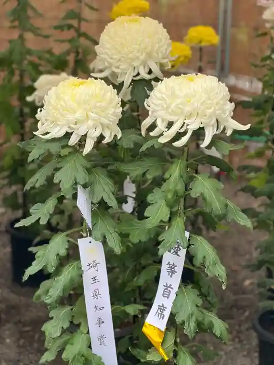 高麗神社(埼玉県)