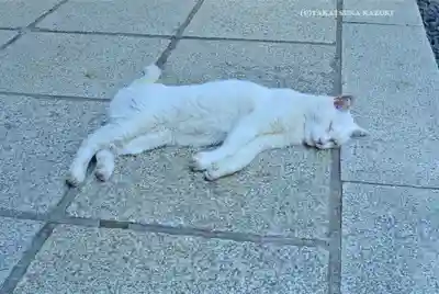 愛宕神社(東京都)