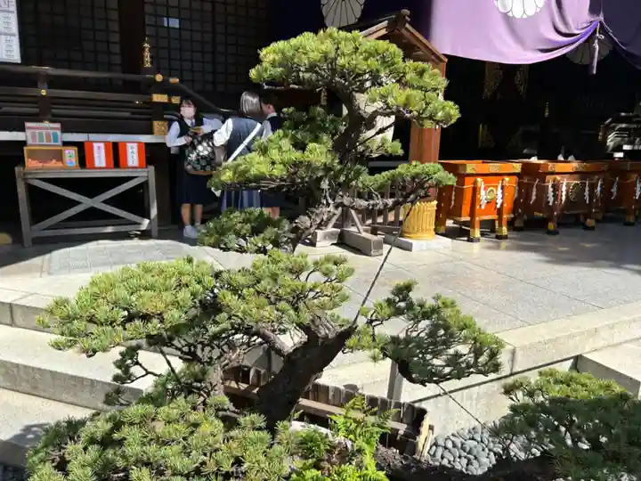 東京大神宮(東京都)