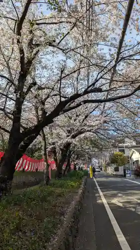 平野神社(京都府)