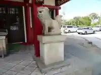 加賀屋天満宮の狛犬