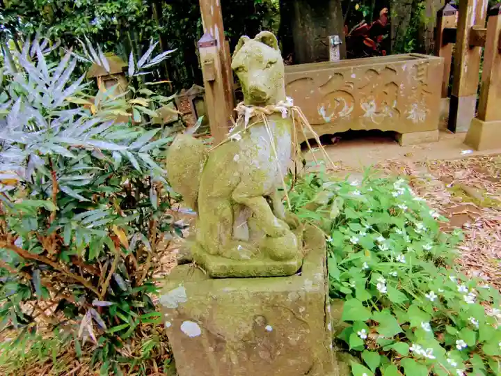 竹内神社の狛犬