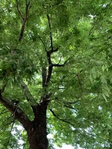 千方神社の自然