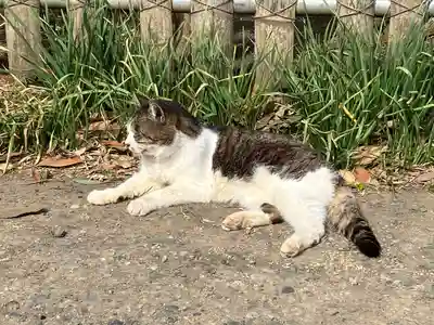 持経寺(神奈川県)