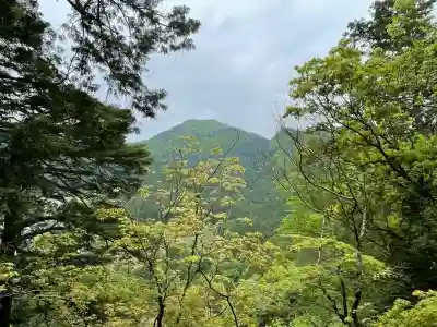 室生寺奥の院の{uncategorized: "未分類", other: "その他", undefined: "問題あり", building: "その他建物", grave: "お墓", sacred_gate: "鳥居", guardian: "狛犬", statue: "像", buddha: "仏像", history: "歴史", nature: "自然", garden: "庭園", animal: "動物", pagoda: "塔", temizu: "手水舎", mountain_gate: "山門・神門", sanctuary: "本殿・本堂", subordinate: "末社・摂社", art: "芸術", scenery: "景色", jizo: "地蔵", ema: "絵馬", goshuin: "御朱印", omikuji: "おみくじ", items: "授与品その他", amulet: "お守り", goshuincho: "御朱印帳", eats: "食事", festival: "お祭り", votive_dance: "神楽", shichigosan: "七五三参", wedding: "結婚式", experience: "体験その他", initially: "初詣", around: "周辺", anti_infection: "感染症対策"}