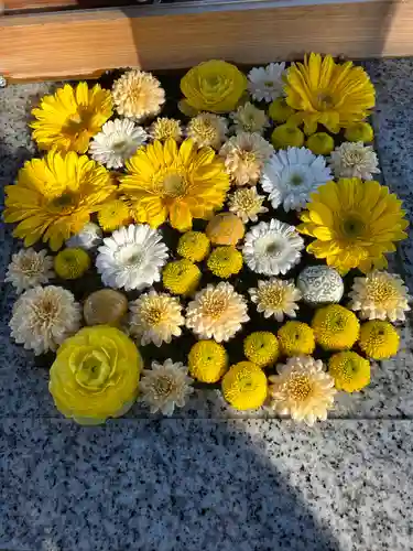 川越八幡宮(埼玉県)