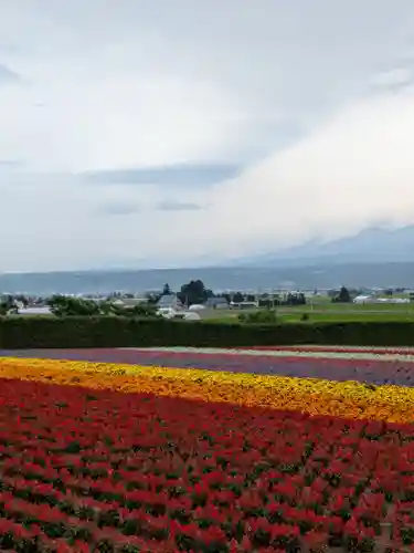 富良野神社の周辺