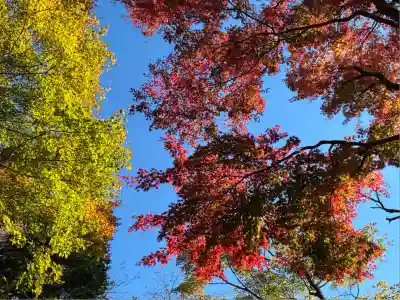 九頭龍神社本宮(神奈川県)