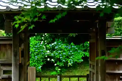 長壽寺（長寿寺）(神奈川県)