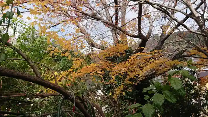 長谷寺(静岡県)