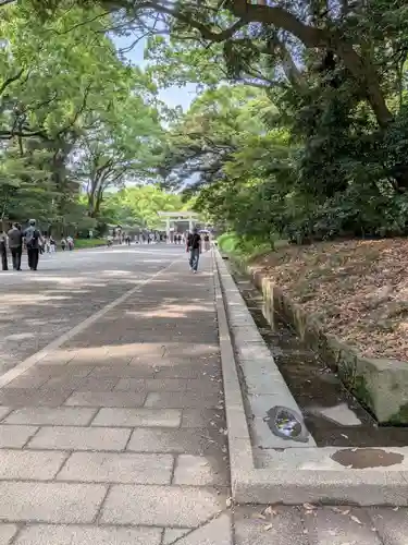 明治神宮(東京都)
