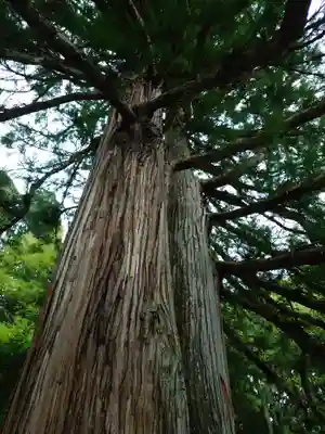 戸隠神社中社(長野県)