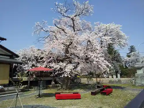 妙経寺(福井県)