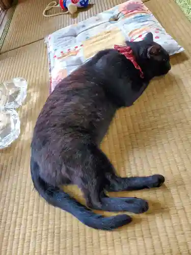 高司神社〜むすびの神の鎮まる社〜(福島県)
