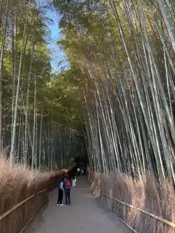 野宮神社の御朱印 2025年11月