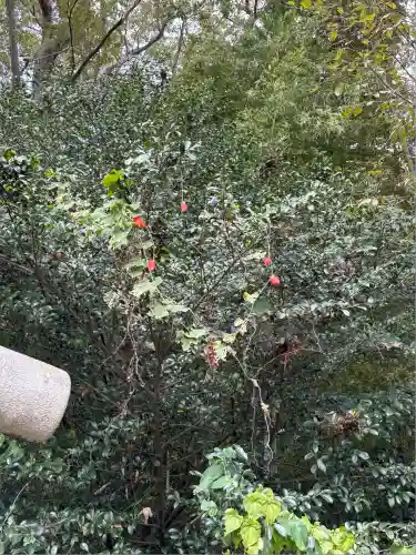 下野 星宮神社(栃木県)