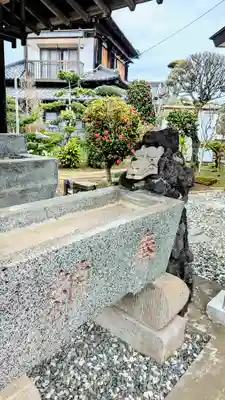 観音寺の手水舎