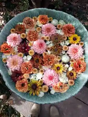 行田八幡神社の手水舎