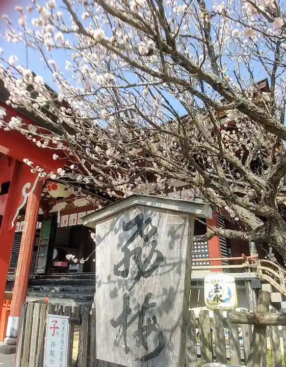 水田天満宮の自然
