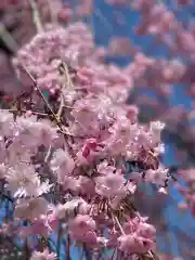 安養寺(福島県)