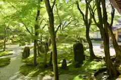 光明禅寺の庭園