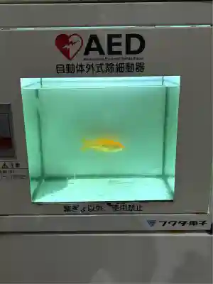 明星来影寺(高知県)