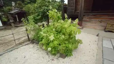 妙楽寺(愛知県)