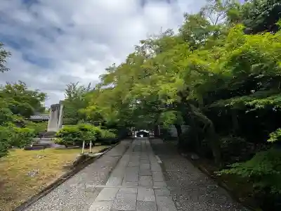 養源院の{uncategorized: "未分類", other: "その他", undefined: "問題あり", building: "その他建物", grave: "お墓", sacred_gate: "鳥居", guardian: "狛犬", statue: "像", buddha: "仏像", history: "歴史", nature: "自然", garden: "庭園", animal: "動物", pagoda: "塔", temizu: "手水舎", mountain_gate: "山門・神門", sanctuary: "本殿・本堂", subordinate: "末社・摂社", art: "芸術", scenery: "景色", jizo: "地蔵", ema: "絵馬", goshuin: "御朱印", omikuji: "おみくじ", items: "授与品その他", amulet: "お守り", goshuincho: "御朱印帳", eats: "食事", festival: "お祭り", votive_dance: "神楽", shichigosan: "七五三参", wedding: "結婚式", experience: "体験その他", initially: "初詣", around: "周辺", anti_infection: "感染症対策"}