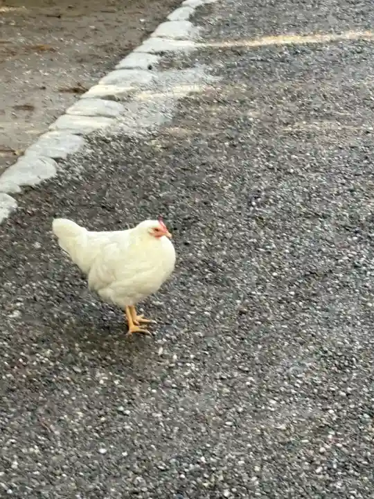 伊勢神宮外宮(豊受大神宮)(三重県)