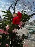 生麦神明社の{uncategorized: "未分類", other: "その他", undefined: "問題あり", building: "その他建物", grave: "お墓", sacred_gate: "鳥居", guardian: "狛犬", statue: "像", buddha: "仏像", history: "歴史", nature: "自然", garden: "庭園", animal: "動物", pagoda: "塔", temizu: "手水舎", mountain_gate: "山門・神門", sanctuary: "本殿・本堂", subordinate: "末社・摂社", art: "芸術", scenery: "景色", jizo: "地蔵", ema: "絵馬", goshuin: "御朱印", omikuji: "おみくじ", items: "授与品その他", amulet: "お守り", goshuincho: "御朱印帳", eats: "食事", festival: "お祭り", votive_dance: "神楽", shichigosan: "七五三参", wedding: "結婚式", experience: "体験その他", initially: "初詣", around: "周辺", anti_infection: "感染症対策"}