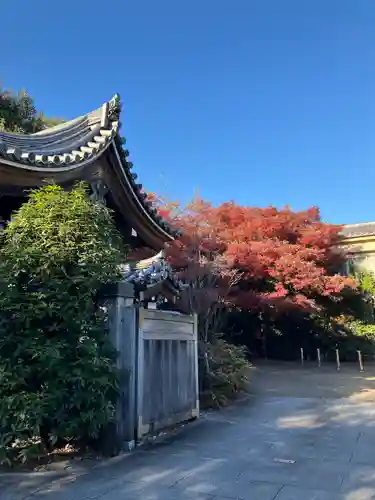 高円寺(東京都)