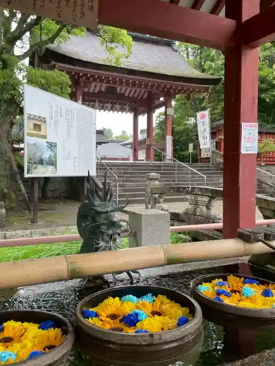 津島神社(愛知県)