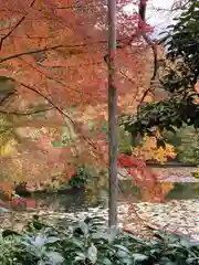 龍安寺(京都府)