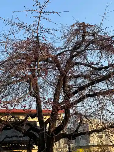 観音神社(広島県)