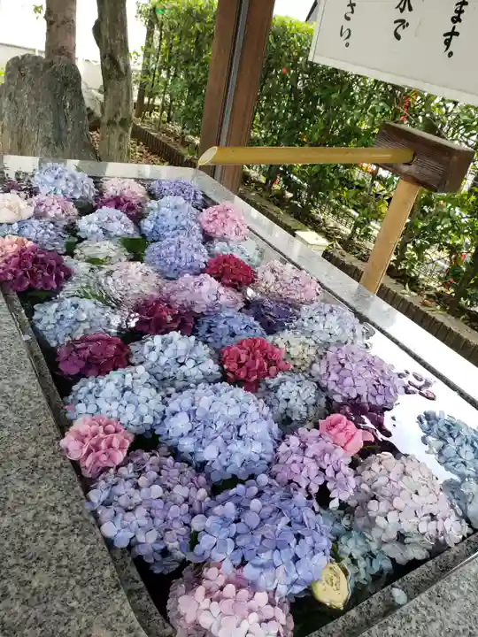 桜神宮(東京都)