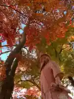 稲荷神社(千葉県)